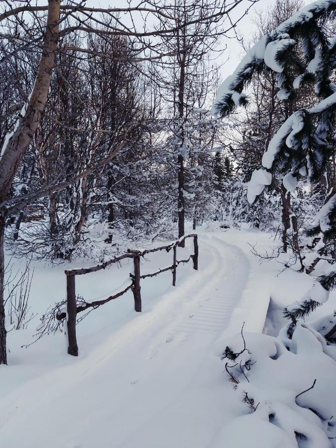 Bakkakot 2 - Cozy Cabins In The Woods Akureyri Eksteriør bilde